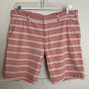 Express Photographer Pink Striped Shorts